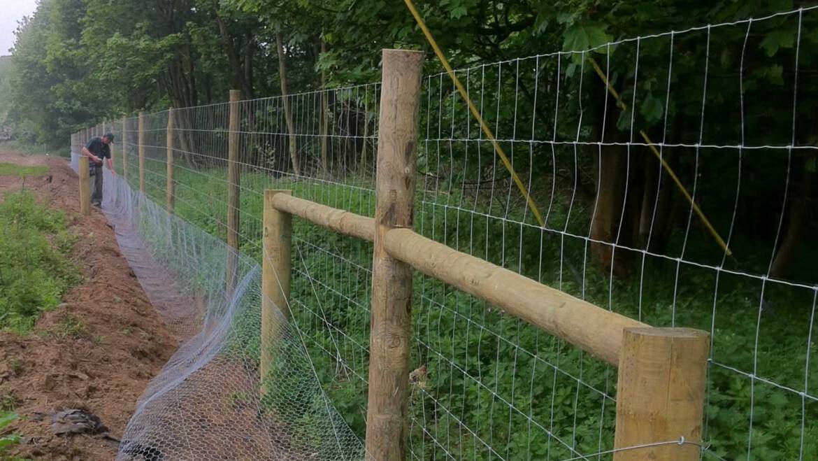 Pletivo a chemická ochrana lesa
